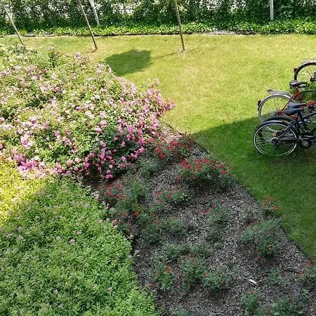 Podgorze 克拉科夫