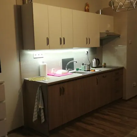Podgorze アパート *
